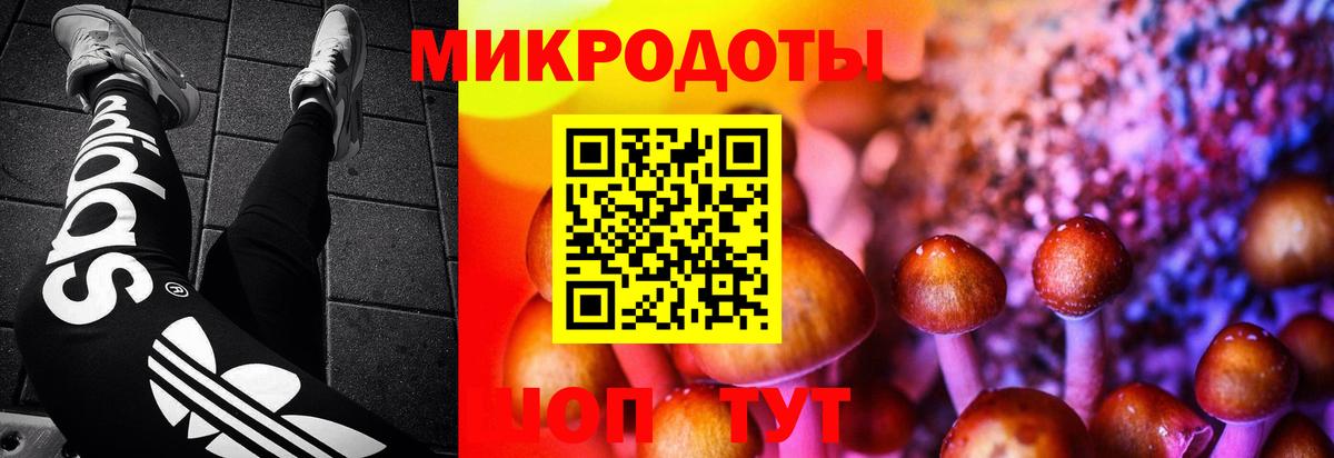 Галлюциногенные грибы мухоморы Кушва